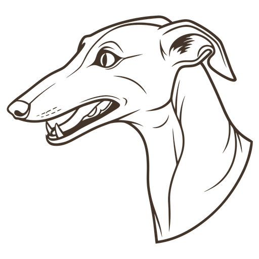 Non Gamstop Betting Sites